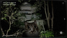 Japan Stigmatized Property 