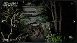   Japan Stigmatized Property