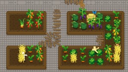   Tiny Terraces