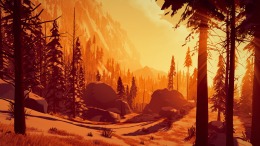  Arctic Awakening