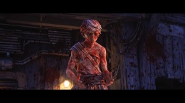 Borderlands 4  PC