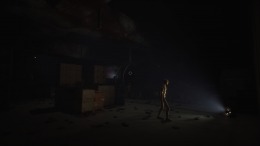  Dimmed Light
