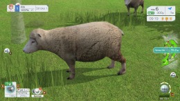   EVERYBODY'S GOLF HOT SHOTS