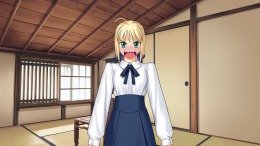 Fate/hollow ataraxia REMASTERED  PC