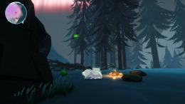  Harmony in the Wild