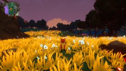   Harmony in the Wild