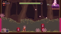 Lost in the World of Succubi  PC
