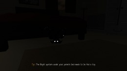   Night Blights