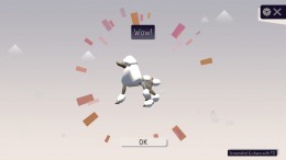 Picture Everything: Puzzle Cross Galaxy  PC