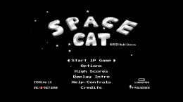   Space Cat