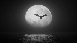 The Lightkeeper  