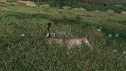  Virtual Hunter