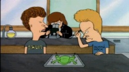 Beavis and Butt-head in Virtual Stupidity 