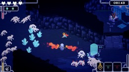 Bermuda Survivor стрим