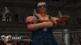 Def Jam Vendetta для PlayStation 2