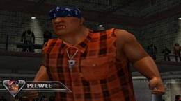 Прохождение игры Def Jam Vendetta