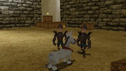 Локация Donkey Xote