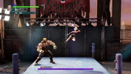 Double Dragon Revive  PC