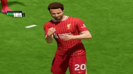   EA SPORTS FC 25