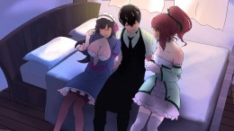 Elisa: the Innkeeper на PC