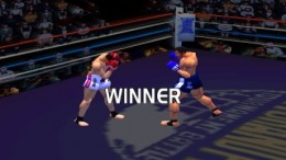 Fighting Illusion K-1 Grand Prix  PlayStation 1