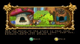FOX n FORESTS  