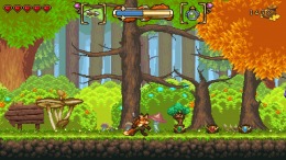  FOX n FORESTS