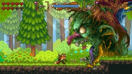   FOX n FORESTS