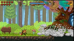  FOX n FORESTS