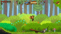 FOX n FORESTS 