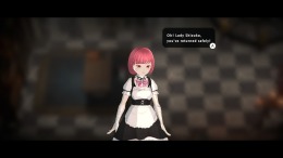 Скриншот игры Maid of Salvation