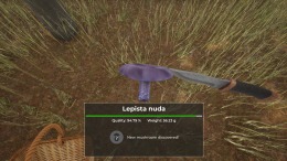 Mushroom Hunter World  