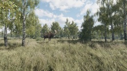 Скачать On the Hunt