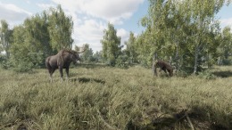 On the Hunt стрим