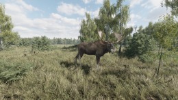 Прохождение игры On the Hunt