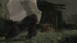 Локация Peter Jackson's King Kong - The official game of the movie