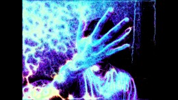 Скриншот игры PHYSARUM: Slime Mold Simulator