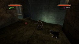 Прохождение игры Pirates - Legend of the Black Buccaneer