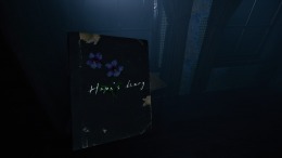 Геймплей Portrait of a Torn