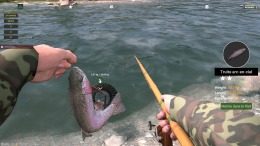 Professional Fishing 2