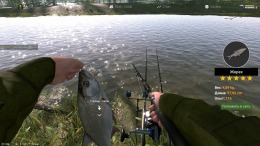   Professional Fishing 2