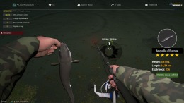  Professional Fishing 2