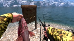Professional Fishing 2  PC