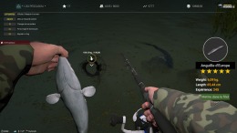   Professional Fishing 2