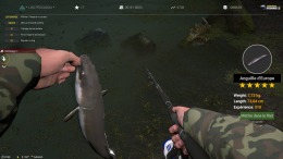 Professional Fishing 2 