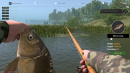   Professional Fishing 2