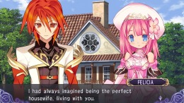 Record of Agarest War Mariage на компьютер