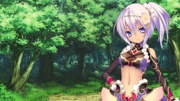 Игровой мир Record of Agarest War Mariage