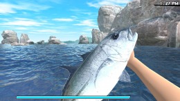  Reel Fishing: Road Trip Adventure