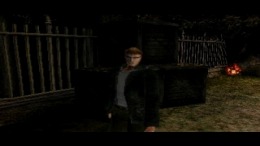 ����������� ���� Resident Evil Survivor